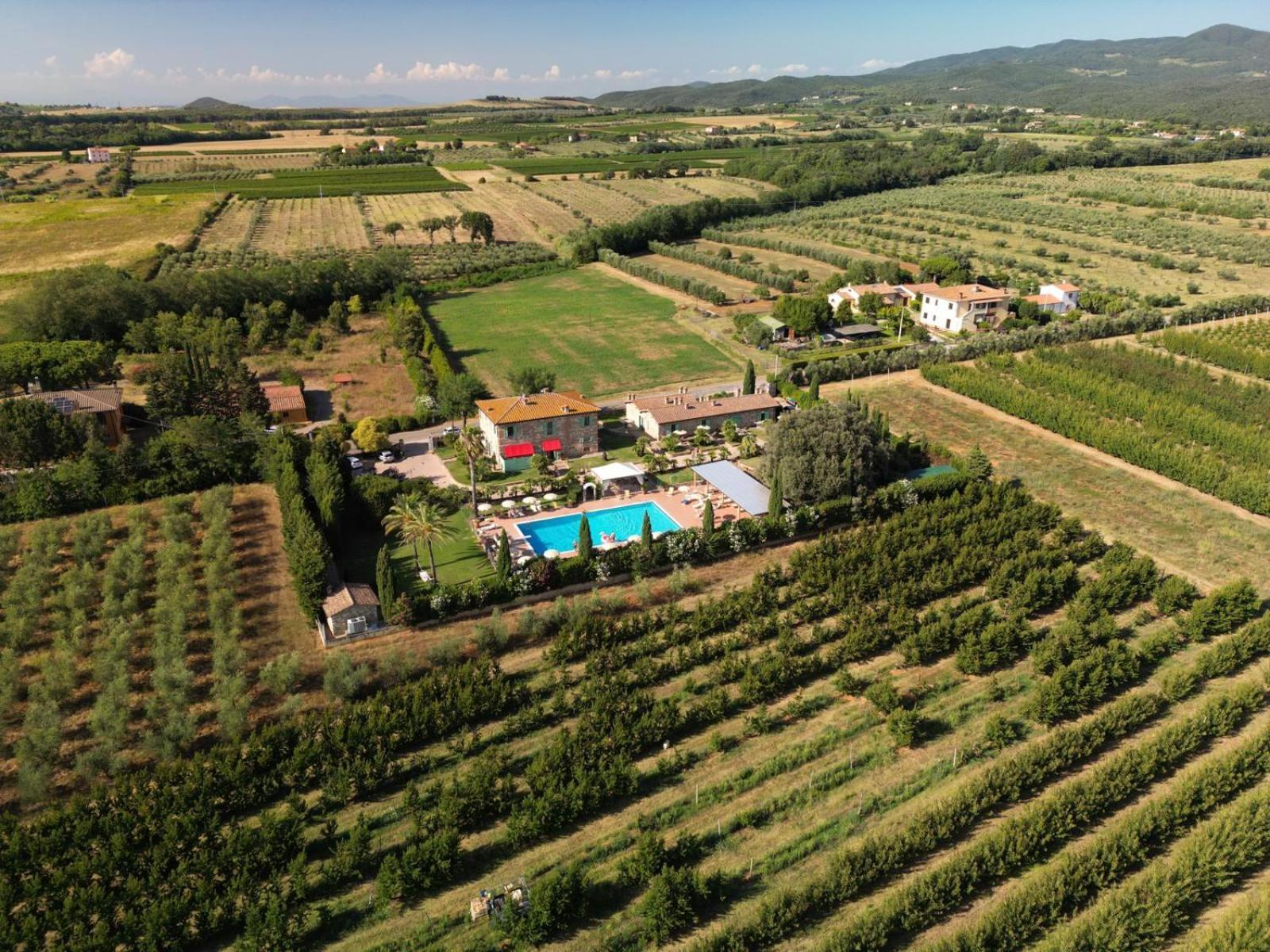 Podere Gli Olmi Cecina  Exteriör bild
