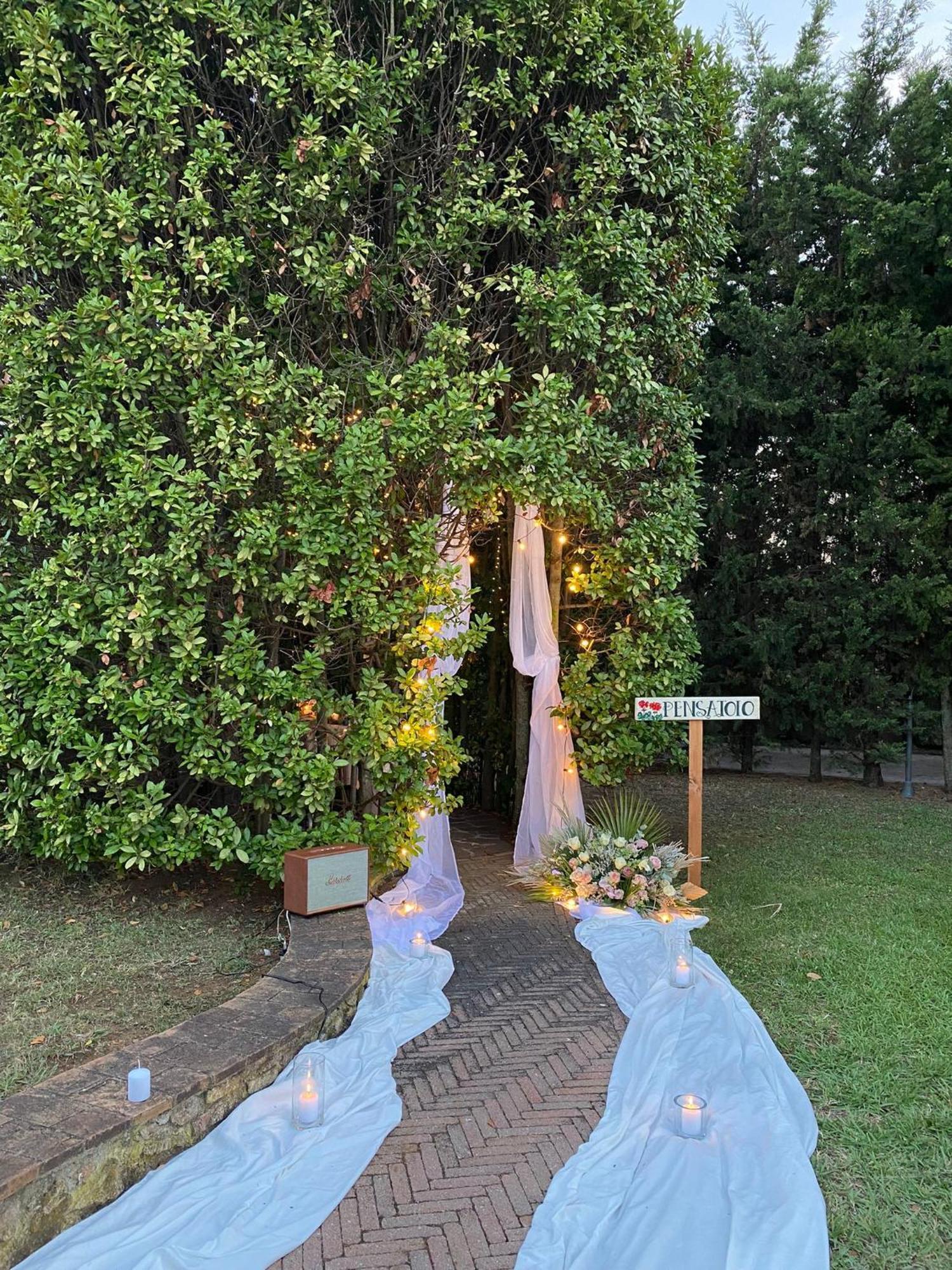 Podere Gli Olmi Cecina  Exteriör bild